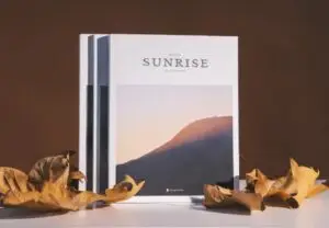 BOOK 3